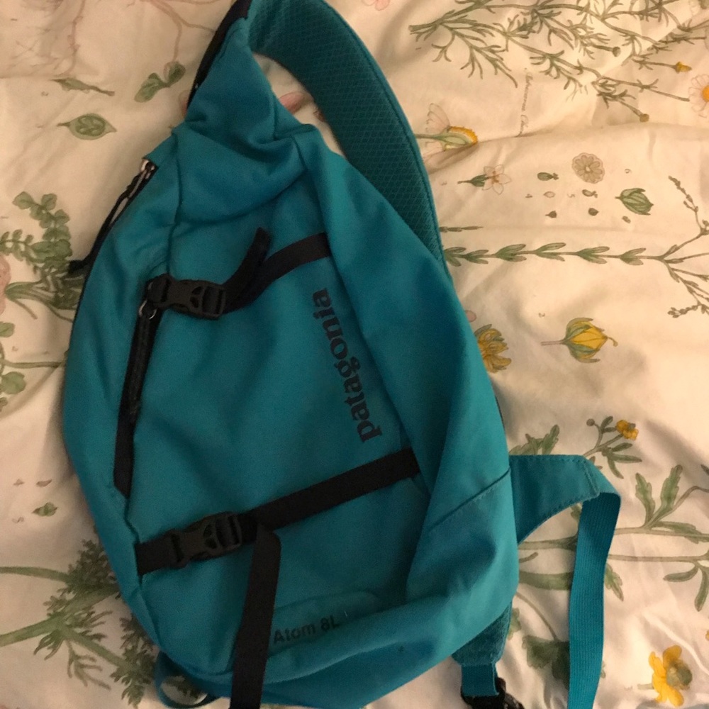 Patagonia Crossback Backpack